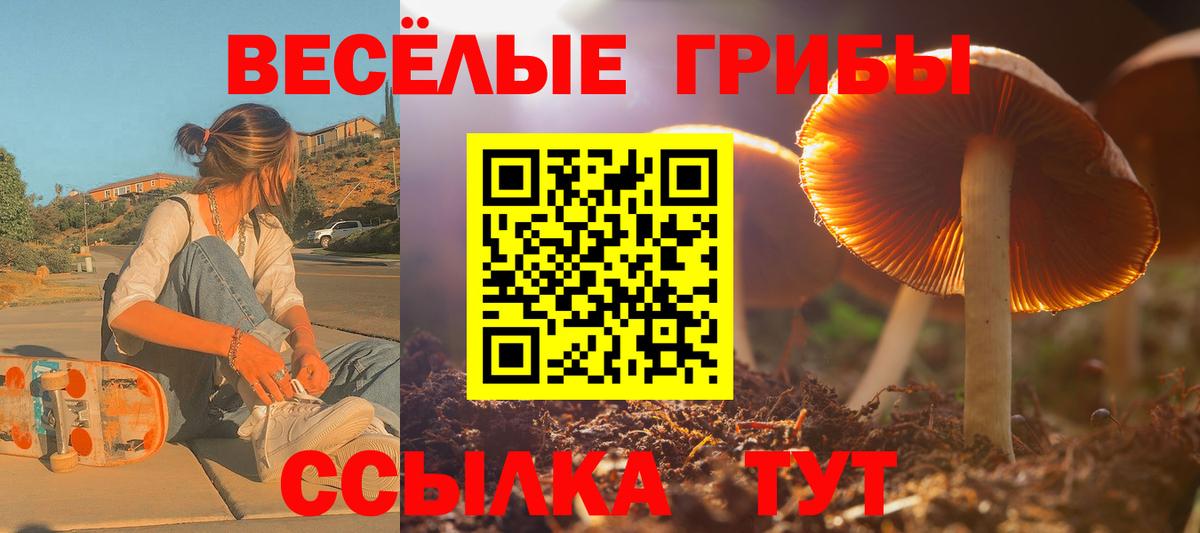 Псилоцибиновые грибы Cubensis  Псилоцибиновые грибы GOLDEN TEACHER  Каспийск  наркота  Вход с VPN 